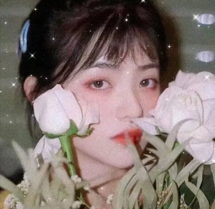 阿莫尔和马拉维塔